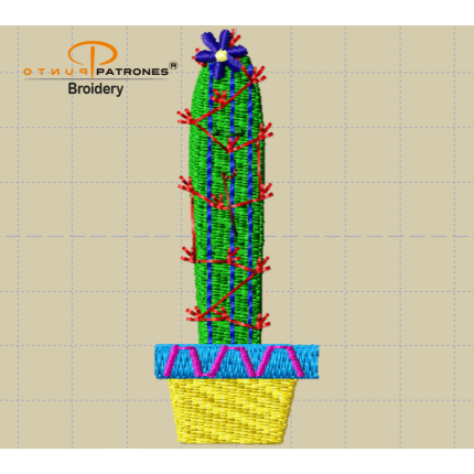 255B CACTUS