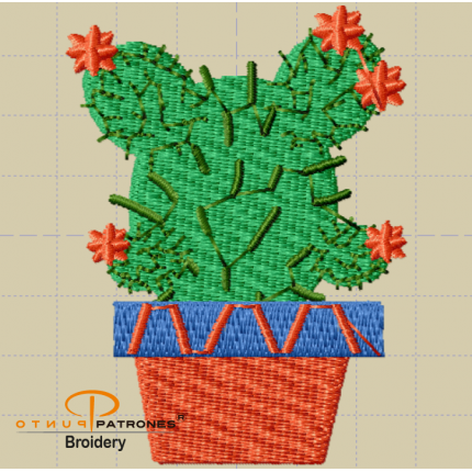 257B CACTUS