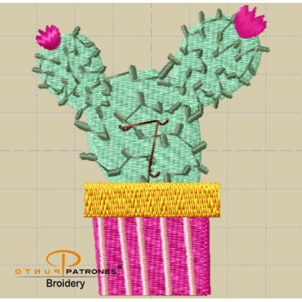 263B CACTUS