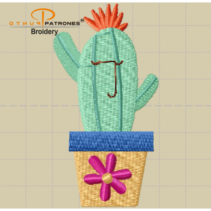 264B CACTUS