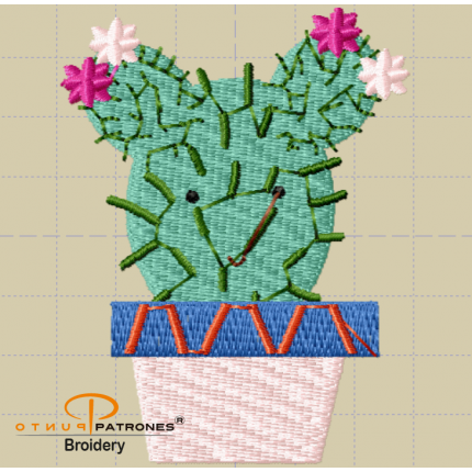 268B CACTUS