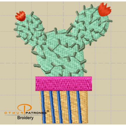 269B CACTUS