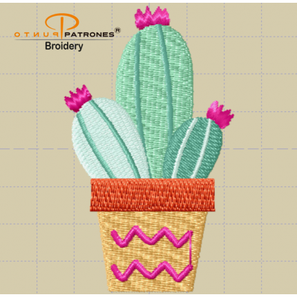 270B CACTUS